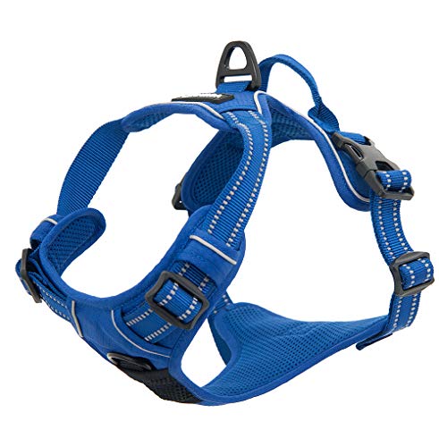 Voyager Dog Harness Dual Leash Attachment No-Pull Control Adjustable Soft but Strong Pet Harness for Medium and Large Dogs with 3M Reflective Technology, Royal Blue Lattice Nylon, XS (Chest: 13-16") - color: Royal Blue Lattice Nylon, size: XS (Chest: 13 -