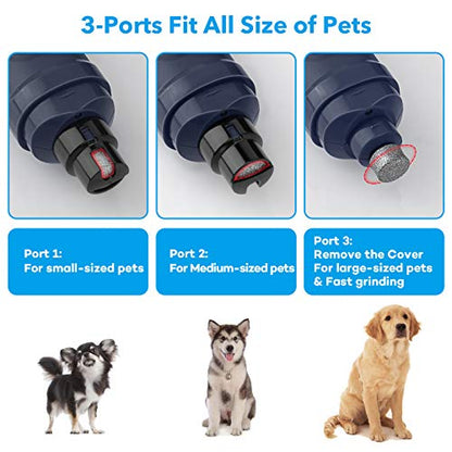 Casfuy Dog Nail Grinder with 2 LED Light - New Version 2-Speed Powerful Electric Pet Nail Trimmer Professional Quiet Painless Paws Grooming & Smoothing for Small Medium Large Dogs and Cats (Blue) - color: B-Blue