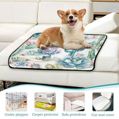Qilmy Cactus Pet Mat, Waterproof Reusable Dog Training Pad Anti-Slip Pet Creat Pad for Small Medium Large Dogs and Cats - size: Smallx3