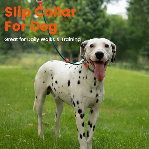 HowGo Slip Collar for Dogs,No Pull Adjustable Martingale Collar for Training, Nylon Rope,Dual Stopper and Durable Aluminum Hardware,Spring-Loaded,for Small Medium Large Dogs(MintGreen) - color: MintGreen