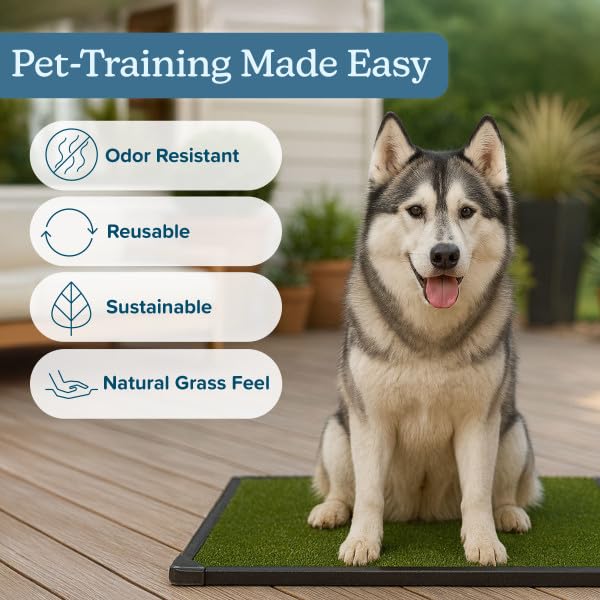 Dog Grass Pad with Tray - 35.5x23.5in Reusable Pee Pads for Dogs - 4-Layer Indoor/Outdoor Artificial Grass Pee Pad - Dog Housebreaking Supplies for Puppy Training by PETMAKER - size: XL 4-Layer System