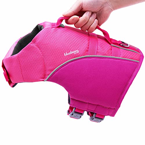 Blueberry Pet 2023 New Reflective Dog Life Jacket for Flotation, Pink and Fuchsia, XX-Small, Fashion Pet Swimming Vest, Life Saver with Adjustable Strong Handle - color: Pink and Fuchsia, size: XX-Small