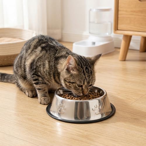 Dog Bowls, 18cm Rust-Proof Stainless Steel Dog Bowls with Non-Slip Rubber Base, Anti-Tip Metal Water Dish and Durable Mirror Polished Pet Feeding Bowl for Small Medium Puppies and Cats Meal Time