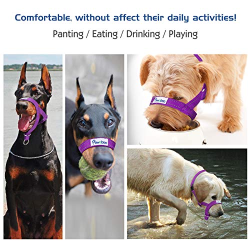 Pawaboo Dog Muzzle, Head Halter Collar for Dog, Pet Nylon Reflective Adjustable Loop Anti-Biting Barking Control Easy Fit Dogs Stops Dogs Pulling Head Leash, Small Size, Purple - color: Purple, size: Small