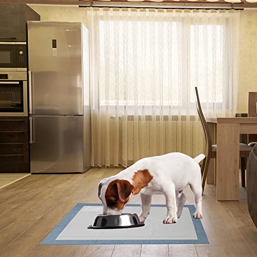 BV Puppy Pads XL 20 Count 34"x28" - Leak-Proof Pee Pads for Dogs with 6-Layer Design, Rapid Dry Sheet & Attractant - Dog Pad Extra Large with Odor Control - Perfect for Big Dogs & Indoor Use - size: XL / 20-Count (Standard)