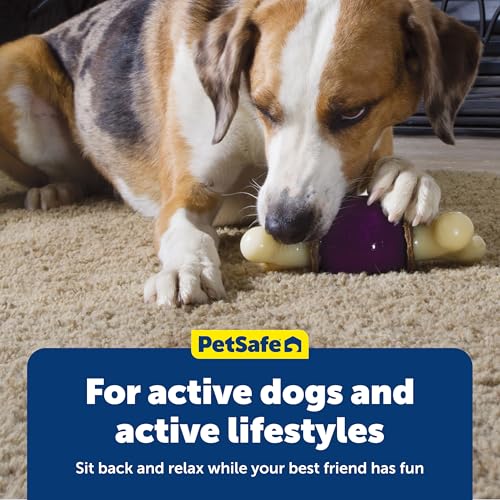 PetSafe Busy Buddy Bouncy Bone, Treat Holding Dog Toy, Small, Best for Dogs Up to 10 Lb. - size: Small, style: Bouncy Bone