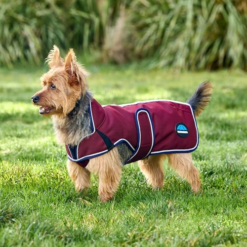 WeatherBeeta ComFiTec Premier Deluxe Waterproof Dog Coat, Burgundy/Navy, 14" - color: Burgundy/Navy, size: 14"