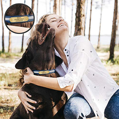 Regal Dog Products Small Blue Reflective Dog Collar with Custom Engraved Name Plate and Heavy Duty Center Ring | Waterproof Biothane Personalized Dog Collars - Other Sizes for Medium & Large Dogs - color: Blue, size: Small