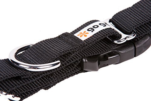 GOGO Pet Products 1-Inch Martingale Dog Collar, Large, Black - color: Black, size: Large (1" web width)