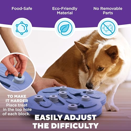 Outward Hound by Nina Ottosson Dog Hide N' Slide – Interactive Treat Puzzle Enrichment Toy, Level 2 Intermediate - color: Dog Hide-N-Slide (Purple)