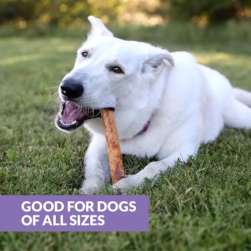 Wild Eats Collagen Chews - Stick Dog Treat for Medium & Large Dogs (10" 3ct, Real Duck) - Long Lasting, Rawhide Free, Low Fat, Grain Free Retriever Rolls - size: 11 Ounce (Pack of 3)
