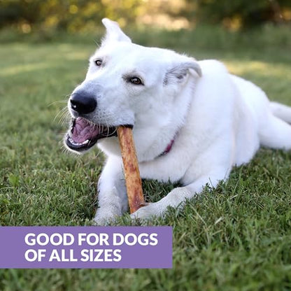 Wild Eats Collagen Chews - Stick Dog Treat for Medium & Large Dogs (10" 3ct, Real Duck) - Long Lasting, Rawhide Free, Low Fat, Grain Free Retriever Rolls - size: 11 Ounce (Pack of 3)