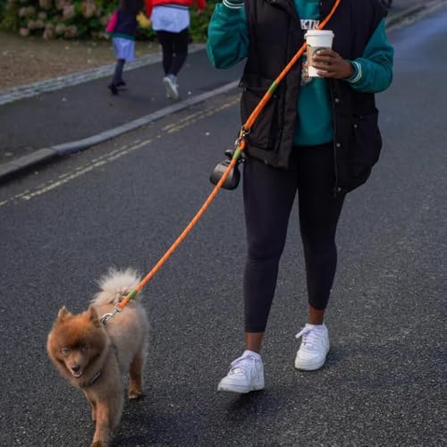 Hands Free Dog Leash Crossbody Dog Running Leash Handsfree Pet Rope for Hiking Training Heavy Duty Reflective Pet Walking Belt (Orange) - color: Orange
