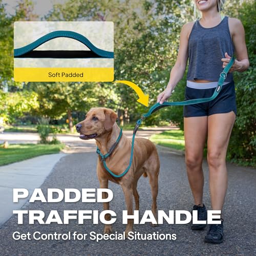 Fida 2-in-1 Slip Leads for Dogs with Double Handles, Tangle Free Leash for Large Dogs that Pull, Heavy Duty No Pull Training Leash Reflective Soft Padded for Large & Medium Breed(6ft,Blue) - color: Blue