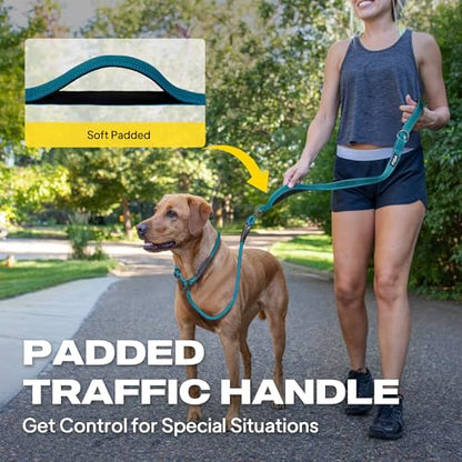 Fida 2-in-1 Slip Leads for Dogs with Double Handles, Tangle Free Leash for Large Dogs that Pull, Heavy Duty No Pull Training Leash Reflective Soft Padded for Large & Medium Breed(6ft,Blue) - color: Blue