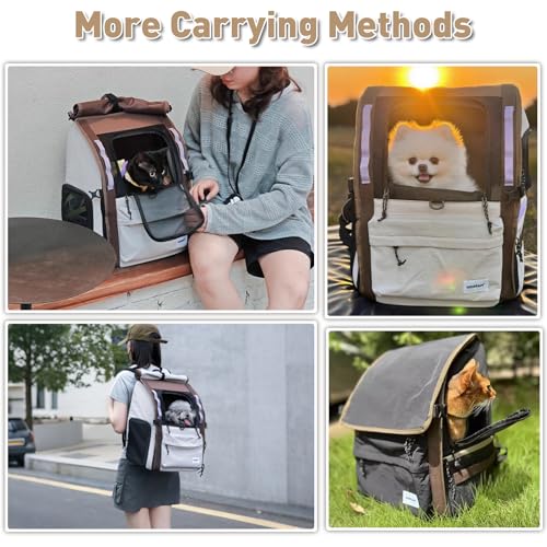 ETIAL Pet Carrier Backpack for Cats and Small Dogs, Bubble Backpack with Front Expandable Lounge, Airline Approved Comfortable Ventilated Travel Carrier for Pets Up to 18lbs (Light Grey)