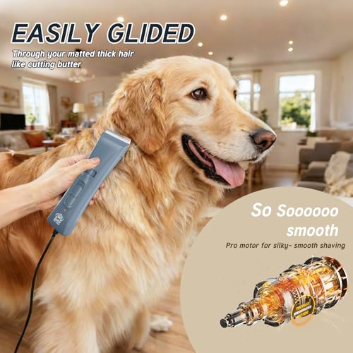 Tife Dog Clipper Low Noise, Dog Grooming Kit with Rechargeable, Pet Shaver Cordless Electric Quiet Hair Clipper (Blue-tp9980) - color: Blue-tp9980