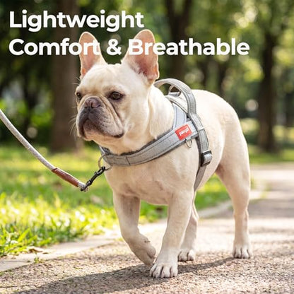 No Pull Dog Harness with Handle, Boston Terrier Adjustable Reflective Dog Vest, Breathable Air Mesh Padded Pet Harness with Front Leash Clip for Small Medium Dogs, Light Grey, M - color: Light Grey, size: Medium
