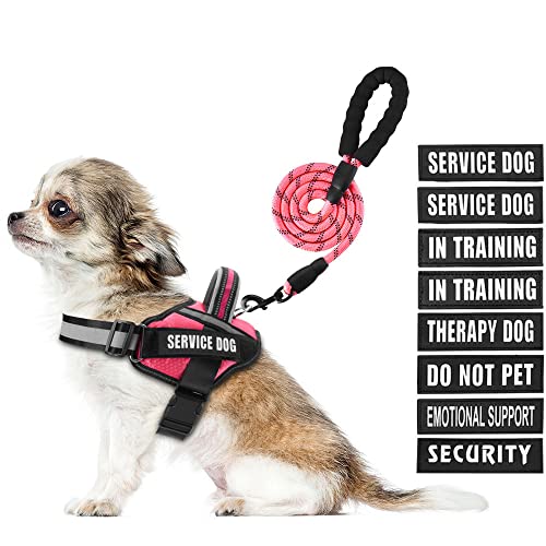 Service Dog Vest Harness and Leash Set, Animire in Training Dog Harness with 10 Dog Patches, Reflective Dog Leash with Soft Padded Handle for Small, Medium, Large, and Extra-Large Dogs (Rosy,XS) - color: Rosy, size: XS