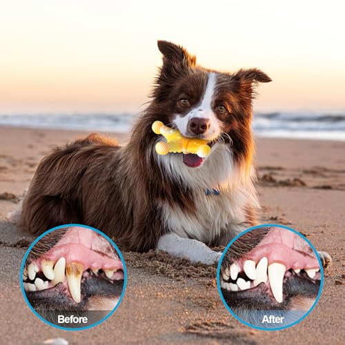 NEZIN Dog Chew Toys, Indestructible Dog Toys for Aggressive Chewers, Tough Dog Toys, Durable Dog Chew Toys for Large Medium Breed, Interactive Dog Toys with Real Beef Flavor (Mix 3 Pack) - color: MIX 3 PACK