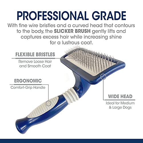 Four Paws Magic Coat Professional Series Grooming Brush for Dogs & Cats, Reduces Shedding, Stimulates Coat's Natural Oils, Ergonomic Design, Ideal for Medium, Long, Curly, and Wiry Coats