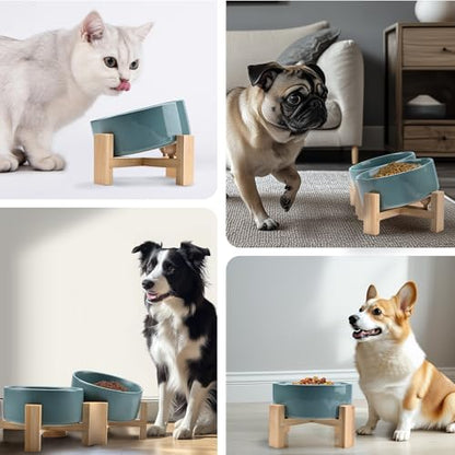 SPUNKYJUNKY 15° Slanted Ceramic Dog and Cat Bowl with Wooden Stand, Tilted Bulldog Food and Water Bowl No Slip Non-Spill for Cats Medium Dogs Big Face Pets 28.7 OZ (3.6 Cups, Light Green × 2) - color: Light Green, size: 3.6 CUPS × 2