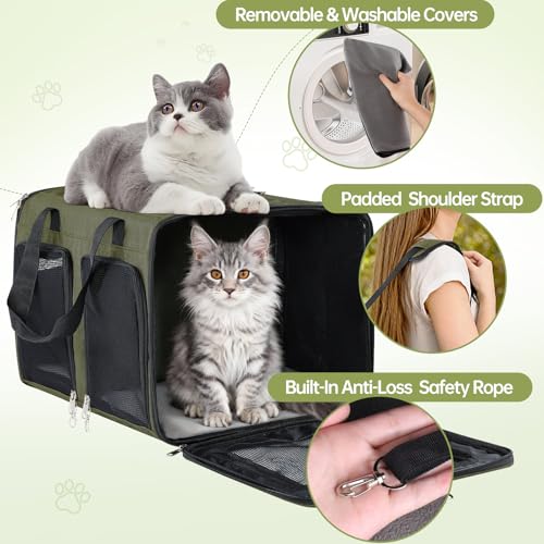 Cat Carrier for 2 Cats - Double Pet Carrier Extra Large, Dual Cabin Multi Cat Travel Carrier with Removable Divider, Collapsible, Can Hold 20 30 40 lbs for Two Kitten Green 2026 Upgraded - color: Green Upgraded