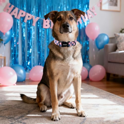 DOGWONG Plaid Dog Collar - Adjustabe Pink Blue Plaid Dog Collar - Cute Pet Checkered Dog Collars Puppy Gift for Small Medium Large Dogs - color: Z: Plaid, size: Extra Small