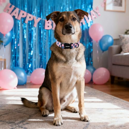 DOGWONG Plaid Dog Collar - Adjustabe Pink Blue Plaid Dog Collar - Cute Pet Checkered Dog Collars Puppy Gift for Small Medium Large Dogs - color: Z: Plaid, size: Extra Small