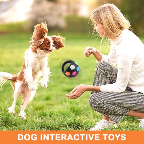 Dog Calming Ball with Handle, Interactive Football Shape Dogs Toy, Squeaky, The Mellow Dogs Strong Rubber Floating Ball for Water Play, Training, Outdoor Games(Color:Black) - color: Black
