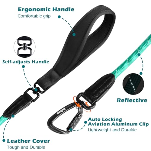 PetBonus Rope Dog Leash, 5 FT Heavy Duty Pet Nylon Leash with Auto Locking Aviation Aluminum Carabiner, Comfortable Padded Handle, Reflective Walking Training Lead for Medium Large Breeds (Turquoise) - color: Turquoise