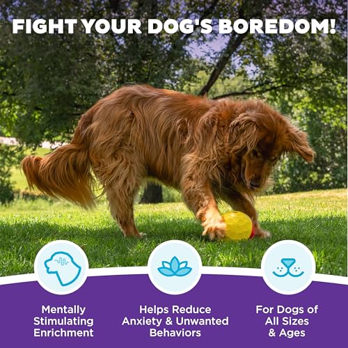 Outward Hound by Nina Ottosson Treat Tumble – Interactive Food-Dispensing Dog Puzzle Ball, Level 1 Beginner, Large, 5.8" - color: Treat Tumble (Large Red)