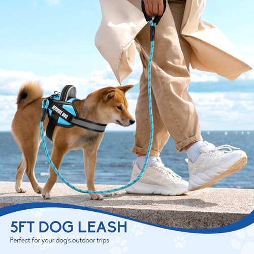 Service Dog Vest Harness and Leash Set, Animire in Training Dog Harness with 10 Dog Patches, Reflective Dog Leash with Soft Padded Handle for Small, Medium, Large, and Extra-Large Dogs (Light Blue,S) - color: Light Blue, size: S