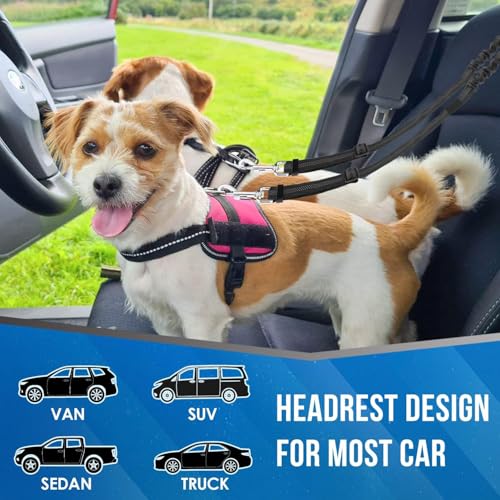 Dog Seat Belt for Car, Dual Pet Vehicle Headrest Restraint Safety Seatbelt,Two Dog Leash No Tangle Dog Car Leash Seat Belt,Duty Adjust Elastic Connect Harness in Vehicle Travel (Blue) - color: Blue