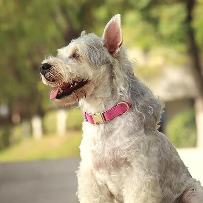 PET ARTIST Soft PU Leather Dog Collar, Bright & Stylish Hot Pink Dog Collar Girl with Quick Release Rose Metal Buckle, Nylon Padded Durable Pet Collars Adjustable for Medium Dogs, Neck Fit 13-19" - color: Hot Pink, size: M: Fit 13-19" Neck(20-55 lbs)