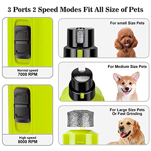 Bousnic Dog Nail Grinder with 2 LED Light - Super Quiet Pet Nail Grinder Powerful 2-Speed Electric Dog Nail Trimmer File Toenail Grinder for Puppy Small Medium Large Breed Dogs & Cats (Green) - color: Green