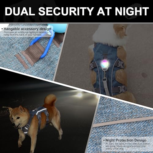 Escape Proof Dog Harness Small Sized Dog, Reflective No Pull Dog Vest with Handle, Lightweight Full Body Pet Harness Adjustable for Walking,Training(Blue,Chest:16-27") - color: Blue, size: S: Chest 16-27", Fit 12-25 lbs