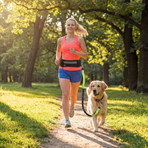 Hands Free Dog Leash 3 Zipper Pounchs with Reflective Strips Poop Bag Dispenser,Waterproof Dog Walking Belt,Dual Handles and Durable Bungee,Waist Leash for Dog Walking,Jogging and Running - color: Green