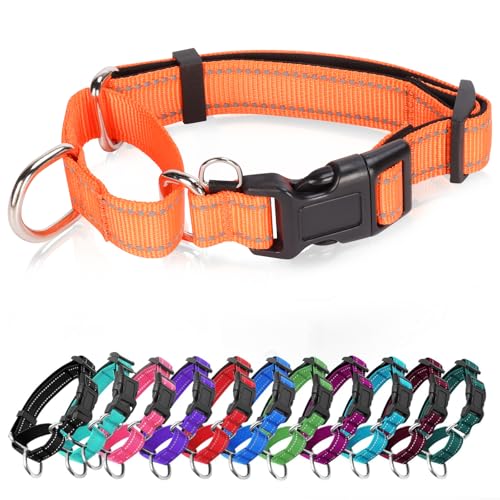 Reflective Martingale Dog Collars. Dog Collar with Quick Release Buckle. Adjustable Soft Padded Breathable Nylon Pet Collar Suitable for Puppies for Small Medium Large Dogs. - color: Orange, size: XS:3/4" Wide for 11.5"-13.5" Neck