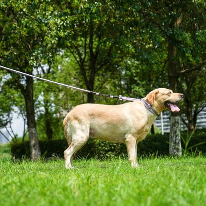 Rope Dog Leash, 4 ft Heavy Duty Dog Leash with Aviation Aluminum Auto Locking Carabiner, Strong Nylon Pet Lead for Small, Medium, Large Dogs (Black, 4FT) - color: Black, size: 4 Foot Single Handle