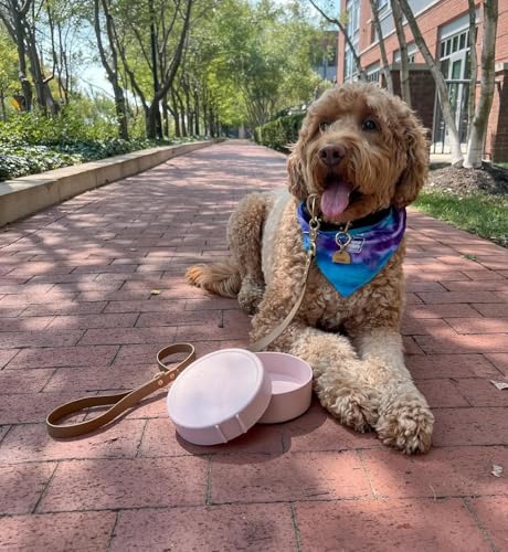 Barkin’ Trails Travel Dog Bowls, Portable Outdoor Water, BPA-Free Water Bowl Set, Food Grade Plastic Dog Travel Bowl, Dog Camping Essentials, Travel Container - color: Blush