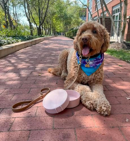 Barkin’ Trails Travel Dog Bowls, Portable Outdoor Water, BPA-Free Water Bowl Set, Food Grade Plastic Dog Travel Bowl, Dog Camping Essentials, Travel Container - color: Blush