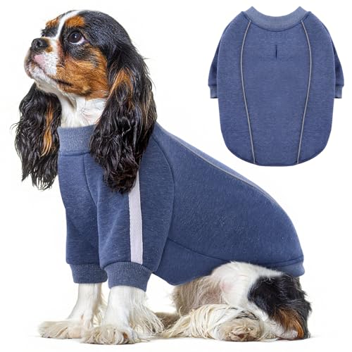 Queenmore Fleece Dog Sweater for Male Dogs, Soft Pullover Dog Sweatshirt with Leash Hole/Reflective Stripes – Cozy Winter Fleece Jacket for Small Medium Large Boy Puppy, Blue XS - color: Blue, size: X-Small