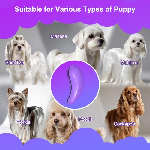Small Dog Brush - Puppy Hair Brush- Grooming Tool for Teddy, Yorkies, Maltese, Shih Tzu, Chihuahua (Purple) - color: Purple