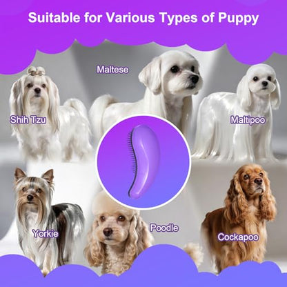 Small Dog Brush - Puppy Hair Brush- Grooming Tool for Teddy, Yorkies, Maltese, Shih Tzu, Chihuahua (Purple) - color: Purple