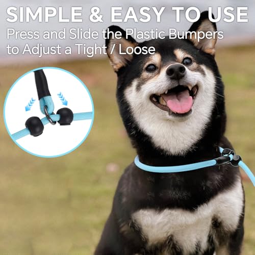 QQPETS Adjustable Slip Lead Dog Leash, Hands Free Waist Leash for Dog Walking, Reflective Training Lead with 360° Swivel Anti-Tangle, 4-7 ft Length for All Breeds - color: Blue Plaid