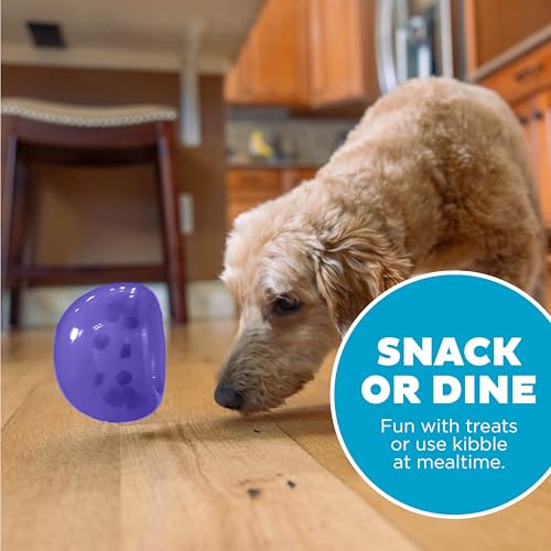 Outward Hound by Planet Dog Lil' Snoop Dog Toy – Treat‑Dispenser Puzzle Ball, Interactive Slow Feeder, Small to Medium Dogs, Bouncy & Mint-Infused, Purple, 3.9" - color: Purple Lil Snoop