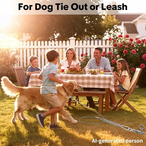 Dog Tie Out Spring, Heavy Duty Shock Absorber Spring for Tie Out Cable & Chain, Rustproof Stainless Steel Buffer, Dog Leash Shock Absorber (1 Spring) - size: 1 Spring