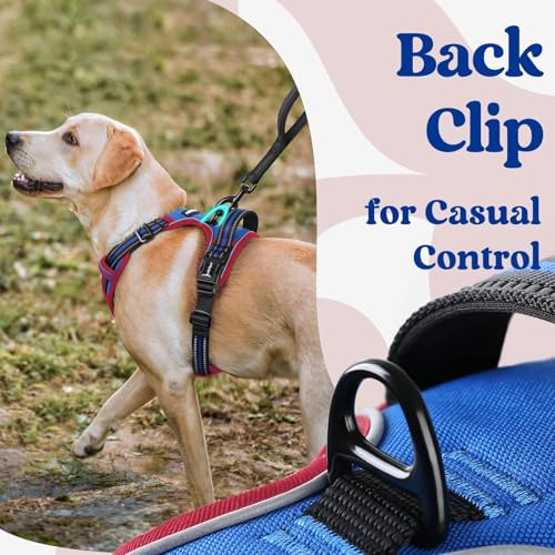 rabbitgoo Dog Harness Small Sized, No Pull Easy On & Off with 3 Buckles Pet Harness, Adjustable Soft Walking Vest with 2 Clips and Handle, Reflective for Small Dogs, Royal Blue & Red, S - color: Royal Blue & Red, size: Small