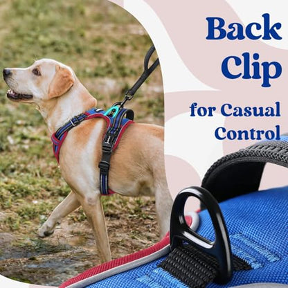 rabbitgoo Dog Harness Small Sized, No Pull Easy On & Off with 3 Buckles Pet Harness, Adjustable Soft Walking Vest with 2 Clips and Handle, Reflective for Small Dogs, Royal Blue & Red, S - color: Royal Blue & Red, size: Small